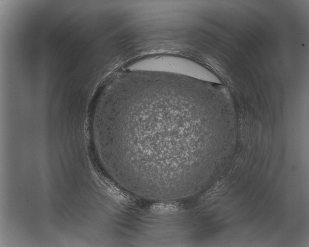 X0000067500354200604211731