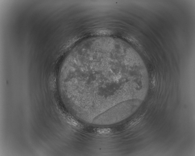 X0000067500355200604211731