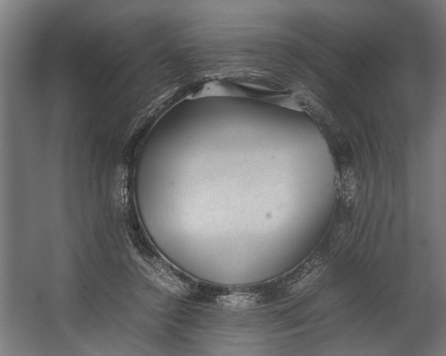 X0000067500356200604211731