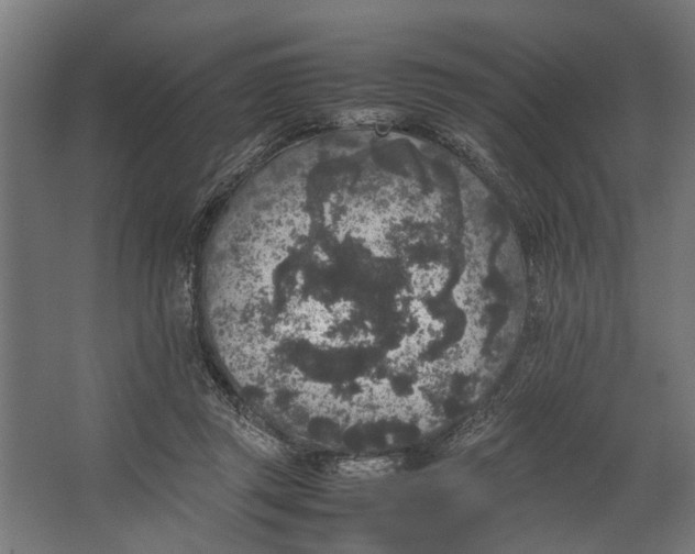 X0000067500357200604211731