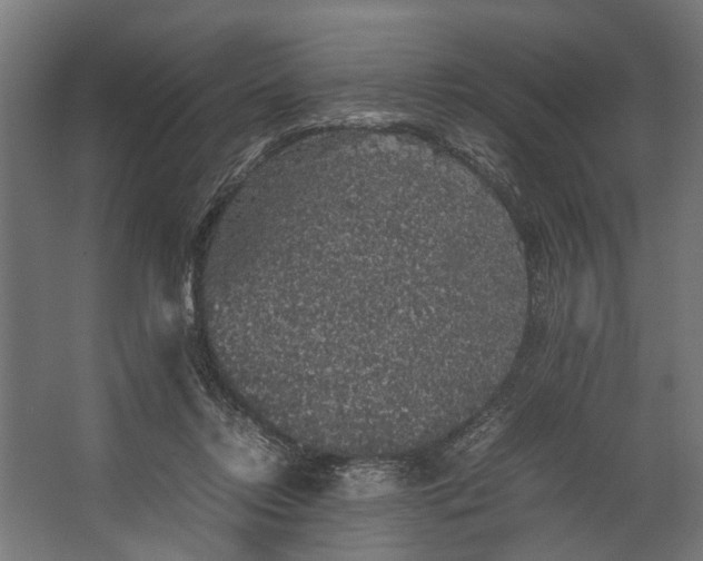 X0000067500358200604211731