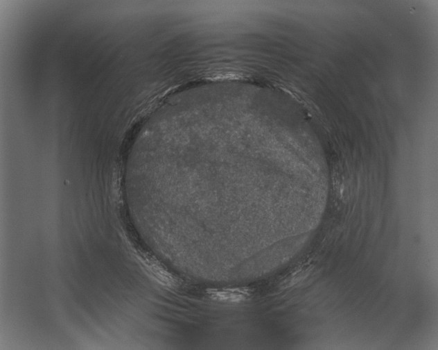 X0000067500359200604211731