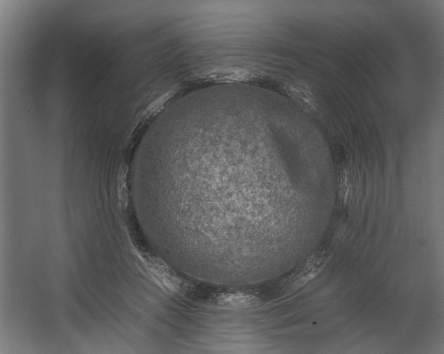 X0000067500360200604211731