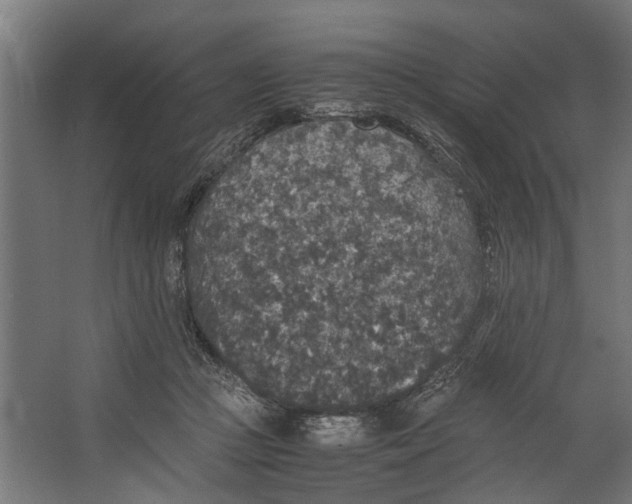 X0000067500361200604211731