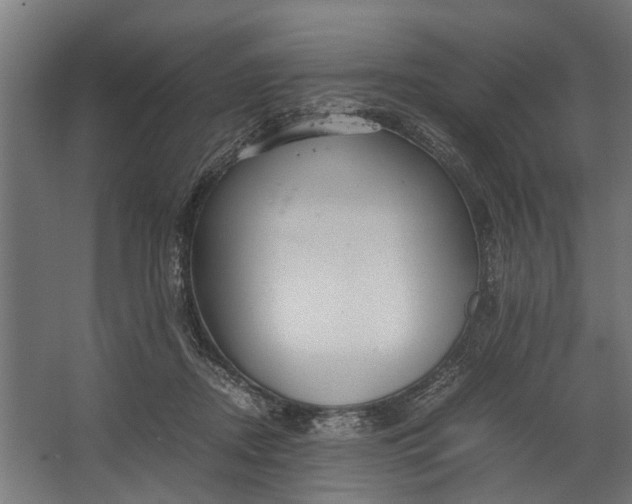 X0000067500362200604211731