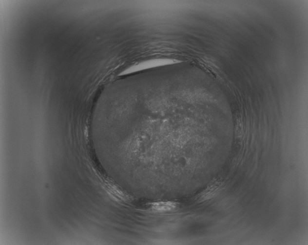 X0000067500363200604211731