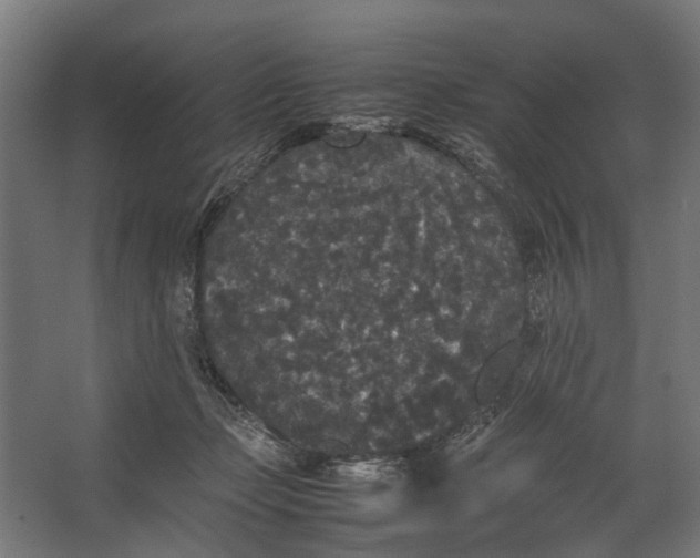 X0000067500365200604211731