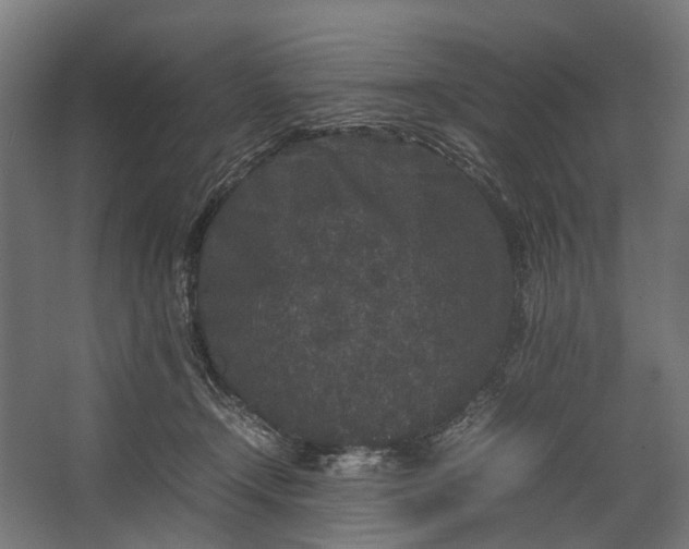 X0000067500366200604211731