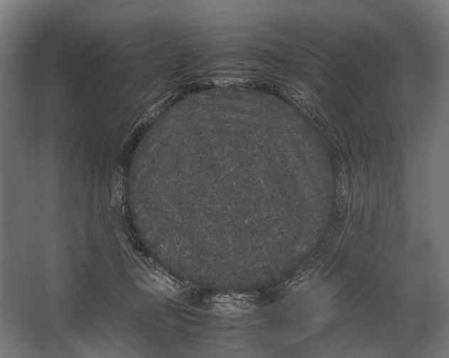 X0000067500367200604211731