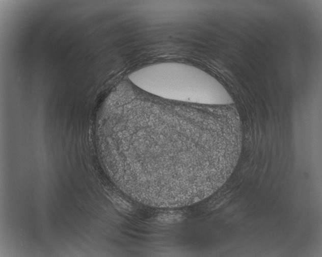 X0000067500369200604211731