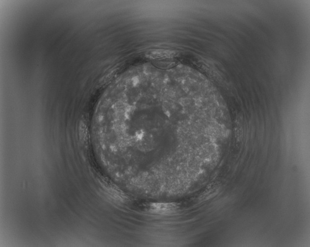 X0000067500371200604211731