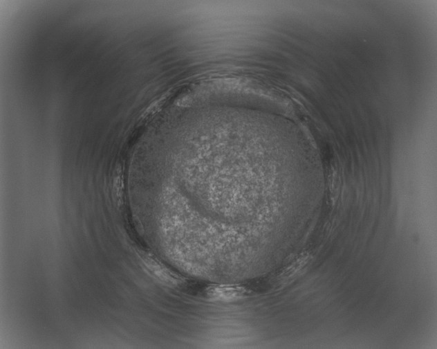 X0000067500372200604211731