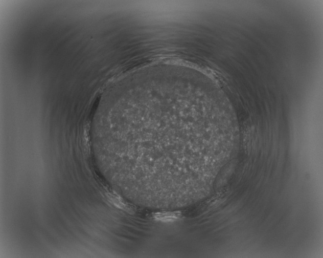 X0000067500373200604211731