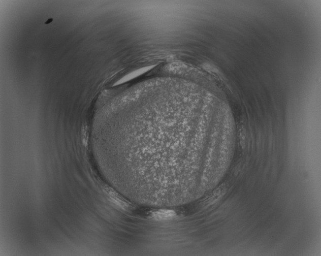 X0000067500374200604211731