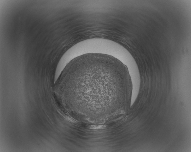 X0000067500375200604211731