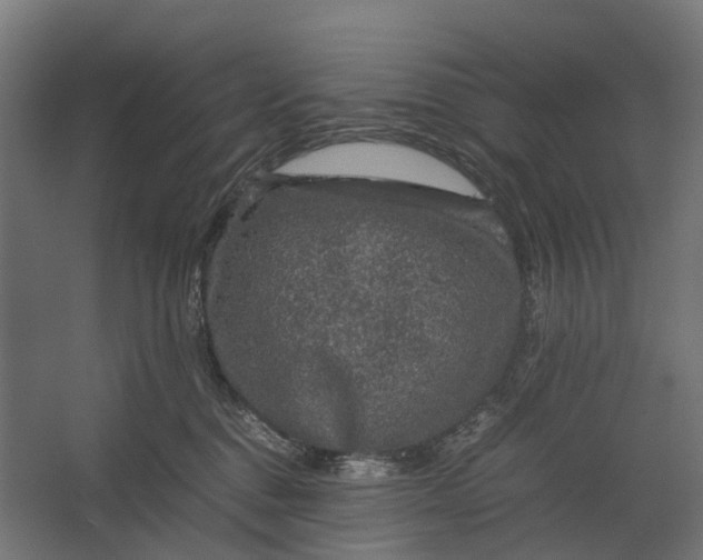 X0000067500376200604211731