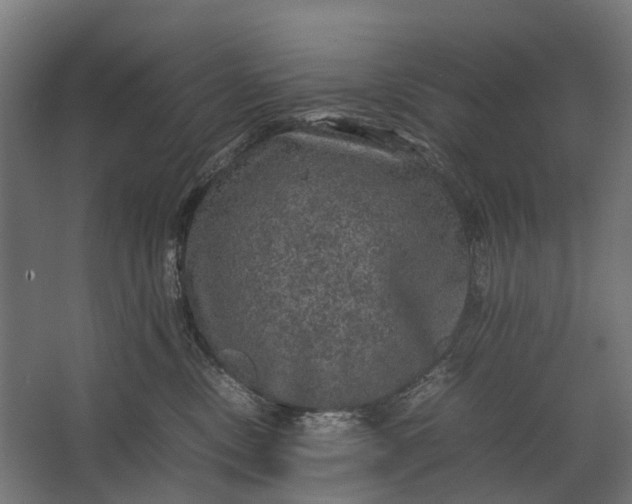 X0000067500378200604211731