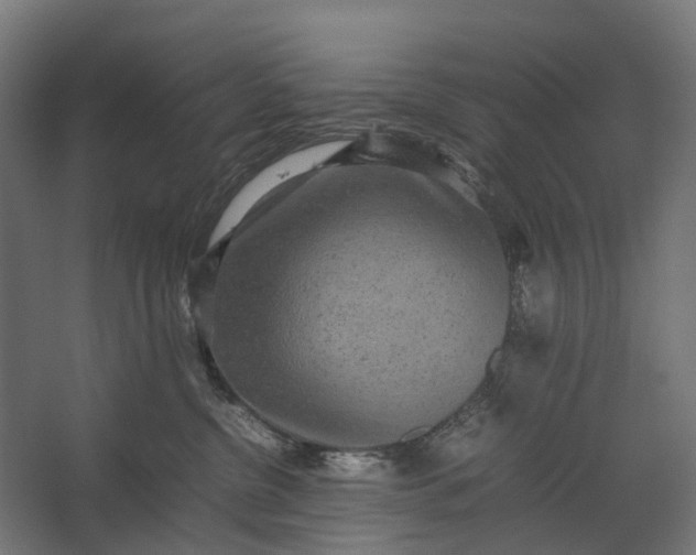 X0000067500380200604211731