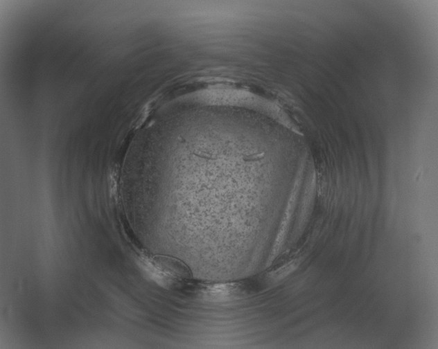 X0000067500382200604211731