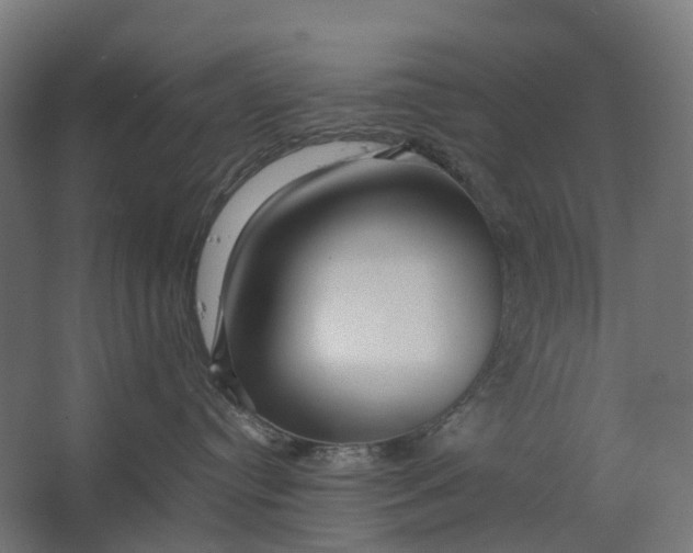 X0000067500384200604211731