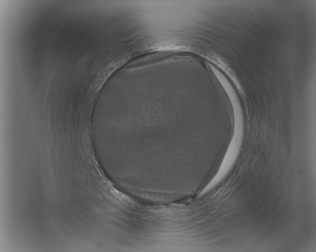 X0000067500385200604211730