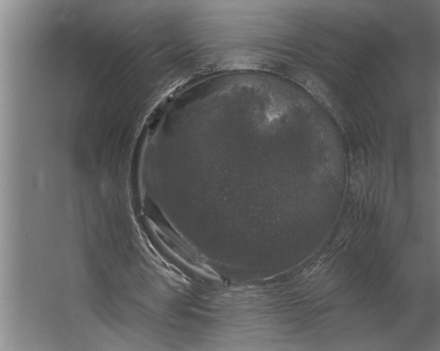 X0000067500386200604211730