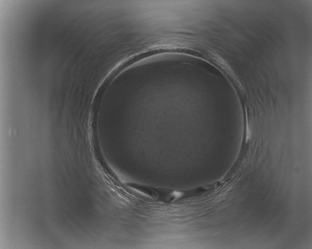 X0000067500387200604211730