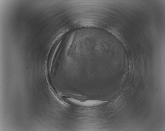 X0000067500390200604211730