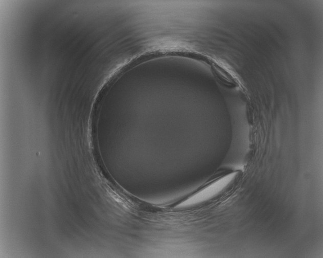 X0000067500391200604211730