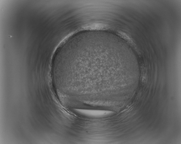 X0000067500392200604211730