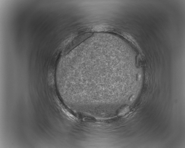 X0000067500393200604211730