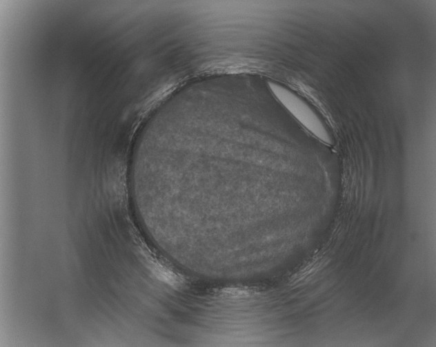 X0000067500394200604211730