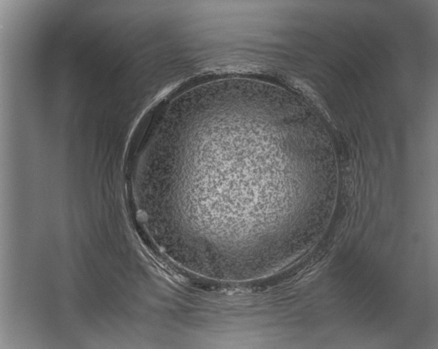 X0000067500395200604211730