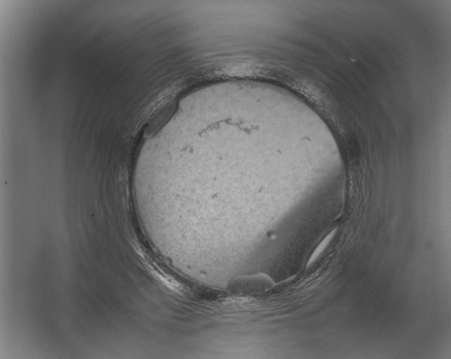 X0000067500397200604211730