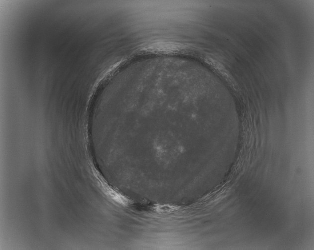 X0000067500399200604211730