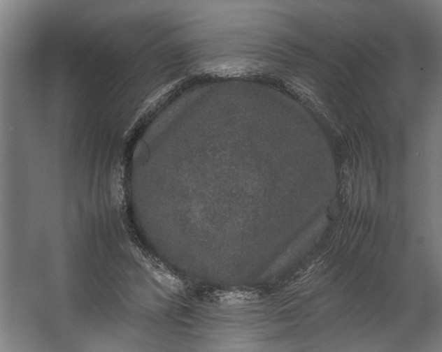 X0000067500400200604211730