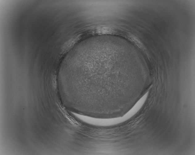 X0000067500401200604211730