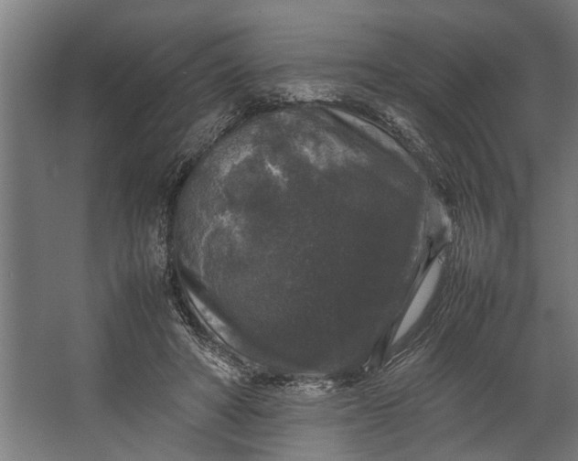 X0000067500402200604211730