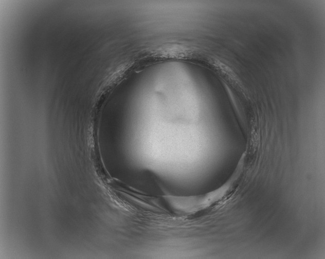 X0000067500403200604211730