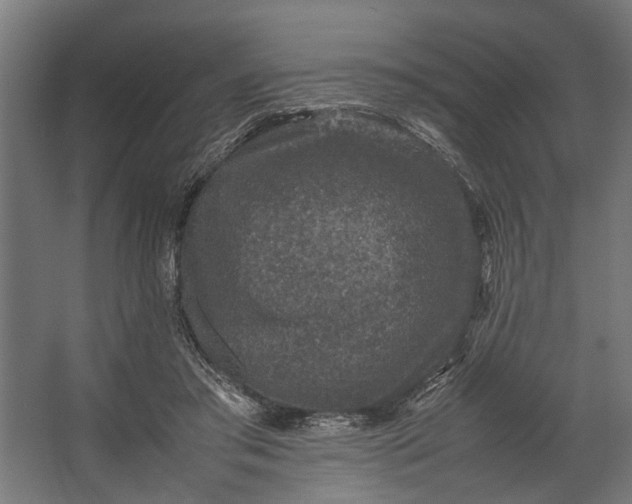 X0000067500405200604211730