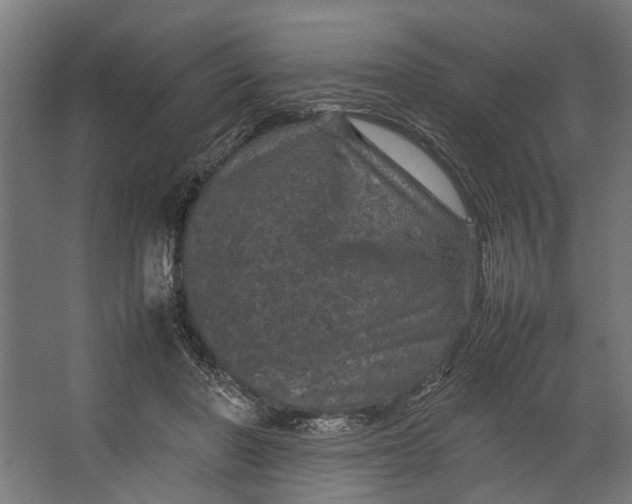 X0000067500406200604211730