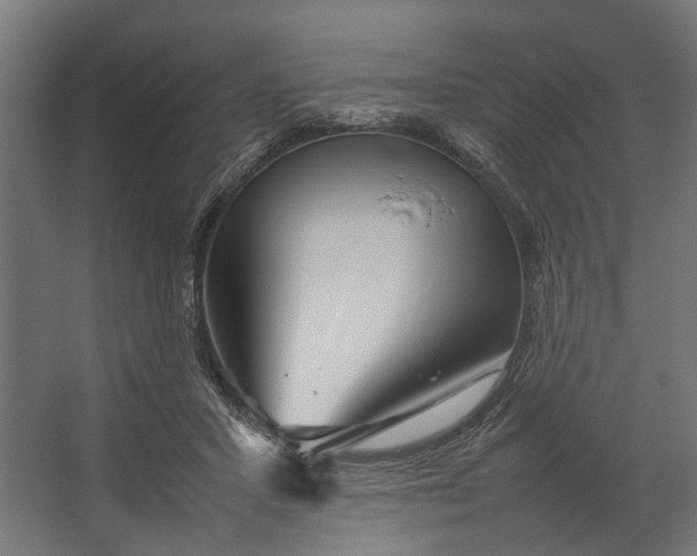 X0000067500407200604211730