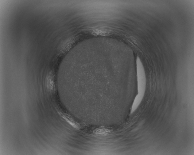 X0000067500408200604211730