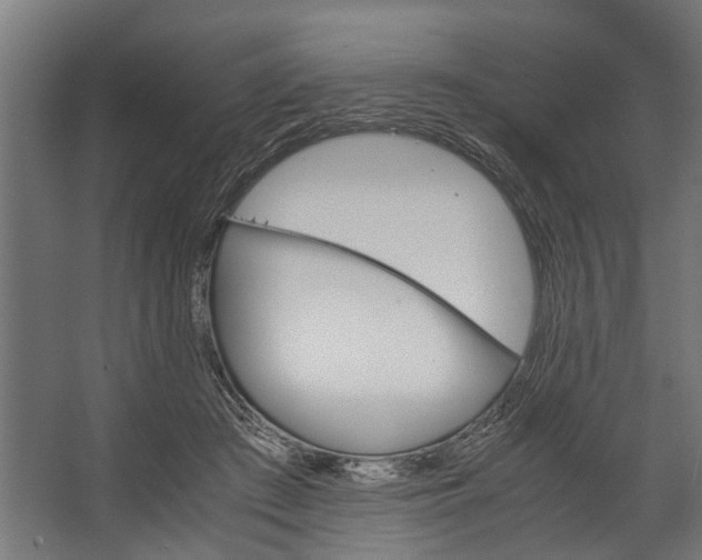 X0000067500409200604211730