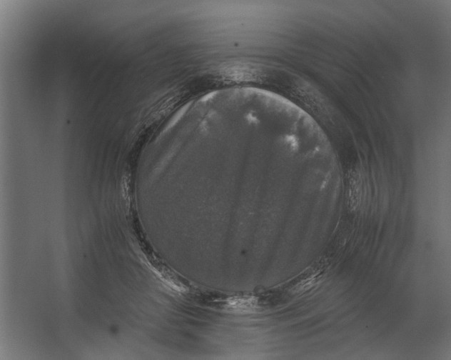 X0000067500410200604211730