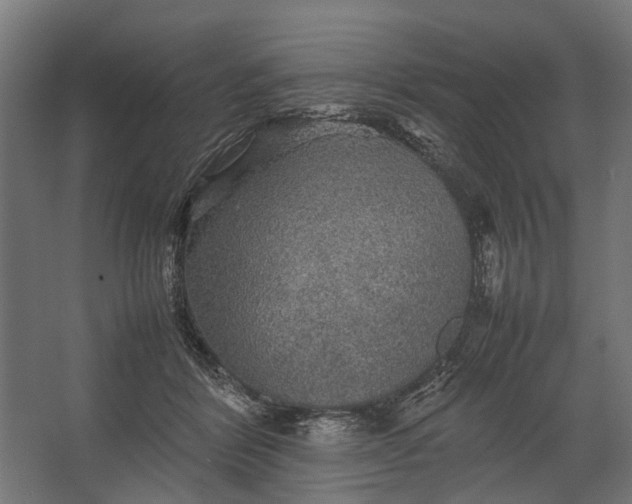 X0000067500412200604211730