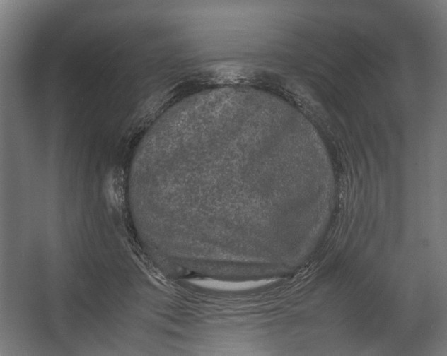 X0000067500413200604211730