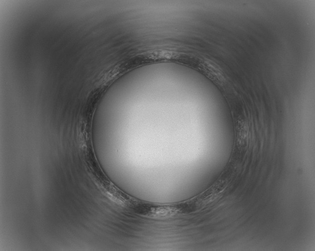 X0000067500414200604211730