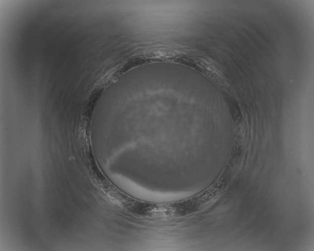 X0000067500415200604211730