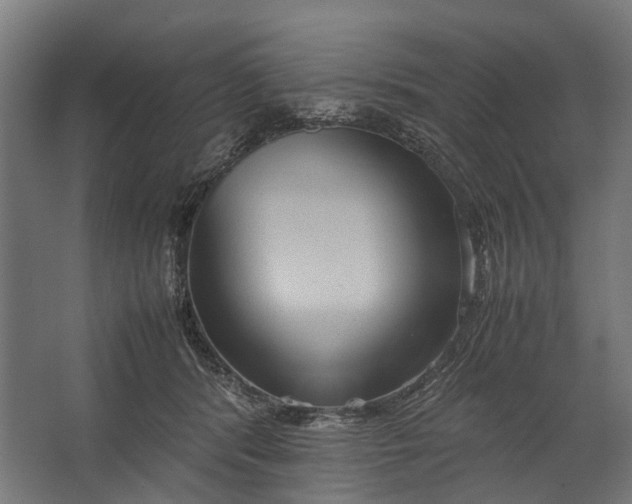 X0000067500416200604211730